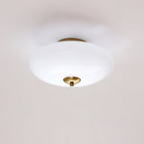 Modern Opal Glass LED Flush Mount Ceiling Lamp for Kitchen and Bathroom