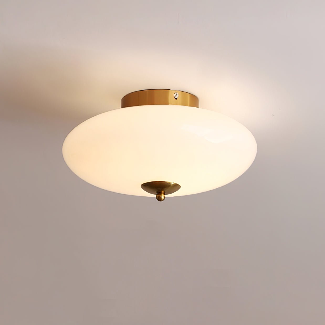Modern Opal Glass LED Flush Mount Ceiling Lamp for Kitchen and Bathroom