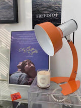 stylish-orange-and-chrome-metal-bedside-lamp-with-vibrant-apple-green-wire