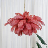 Natural Ostrich Feather Gasolier Chandelier with Polished Brass Frame for Luxury Interiors