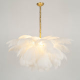 Natural Ostrich Feather Gasolier Chandelier with Polished Brass Frame for Luxury Interiors