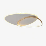 modern-minimalist-oval-led-ceiling-light-fixture-for-living-room-and-bedroom
