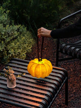 Rechargeable Portable Pumpkin Table Lamp LED Battery Operated Resin Desk Light