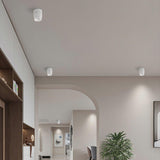 Modern Adjustable White LED Ceiling Spotlight for Targeted Interior Illumination