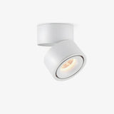 Modern Rotatable LED Spotlight Ceiling Fixture for Adjustable Indoor Accent Lighting