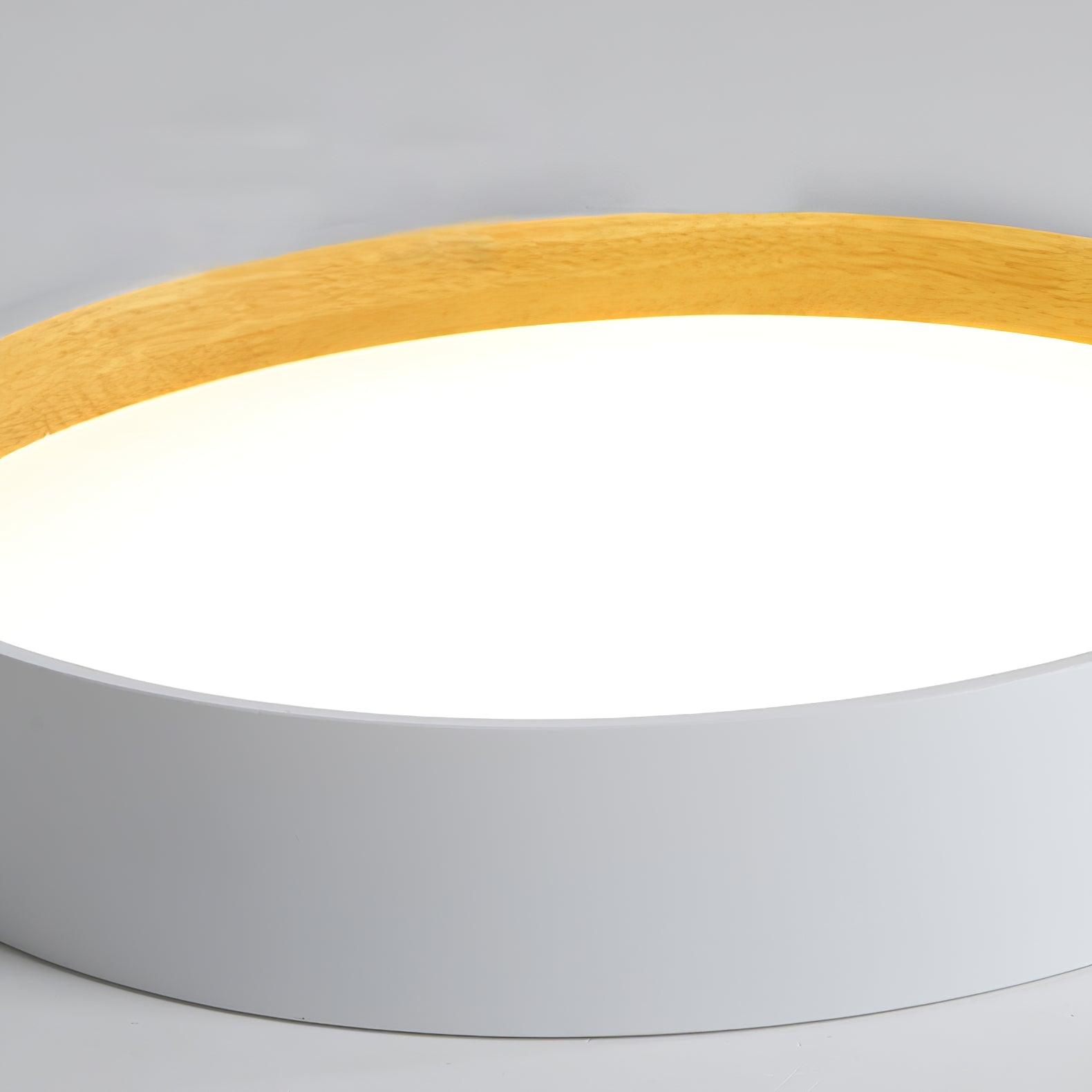 Modern Round LED Flush Mount Ceiling Light with Aluminum Metal Frame for Indoor Living Areas