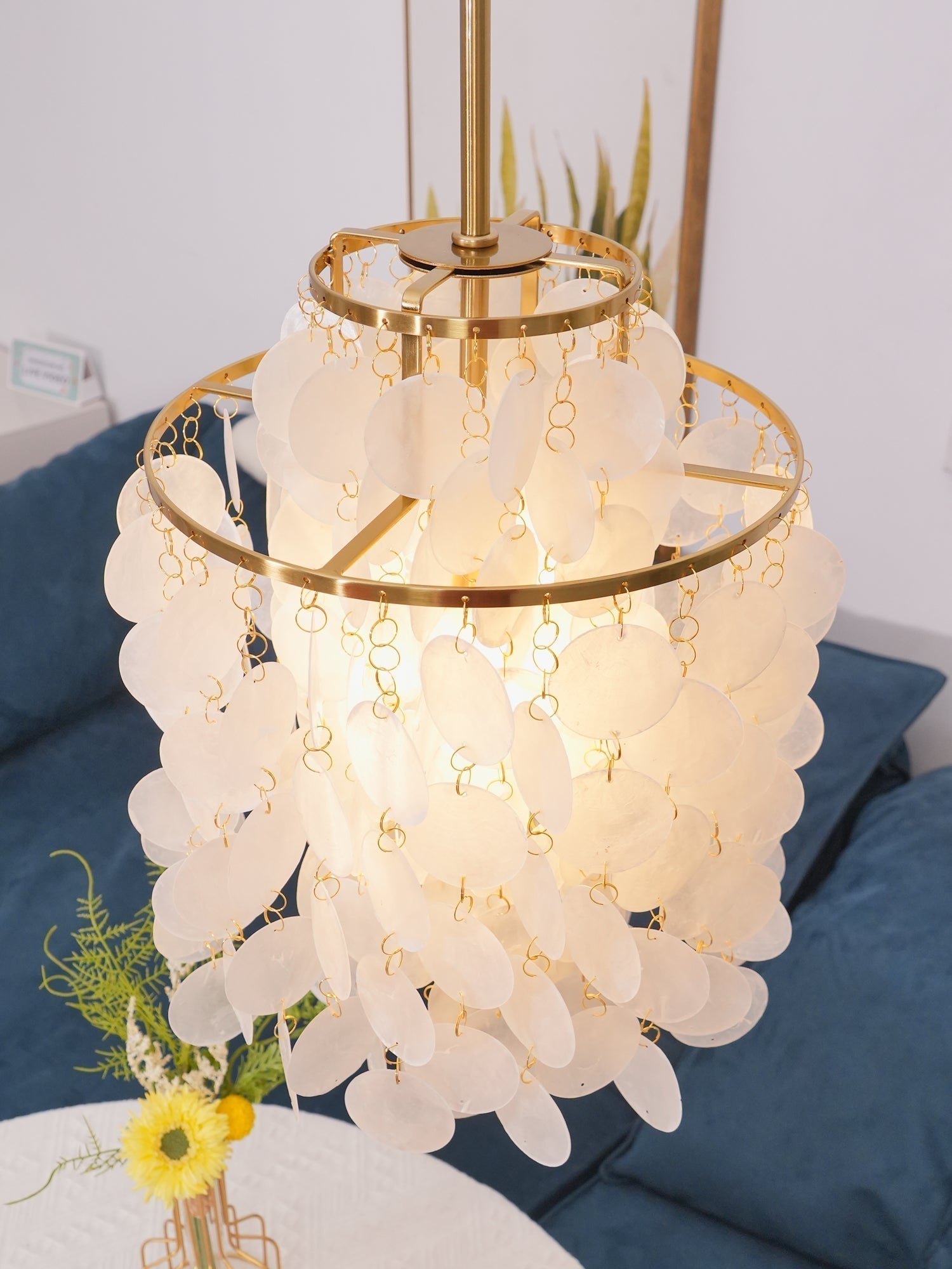 Modern Round Shell Pendant Light Coastal Chandelier for Living Room and Bedroom