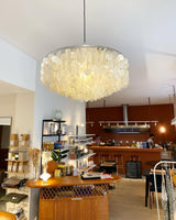 Modern Round Shell Pendant Light Coastal Chandelier for Living Room and Bedroom