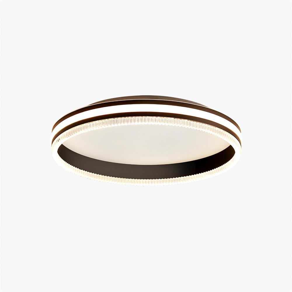 Modern Round Acrylic Ring LED Ceiling Light Fixture for Home and Office