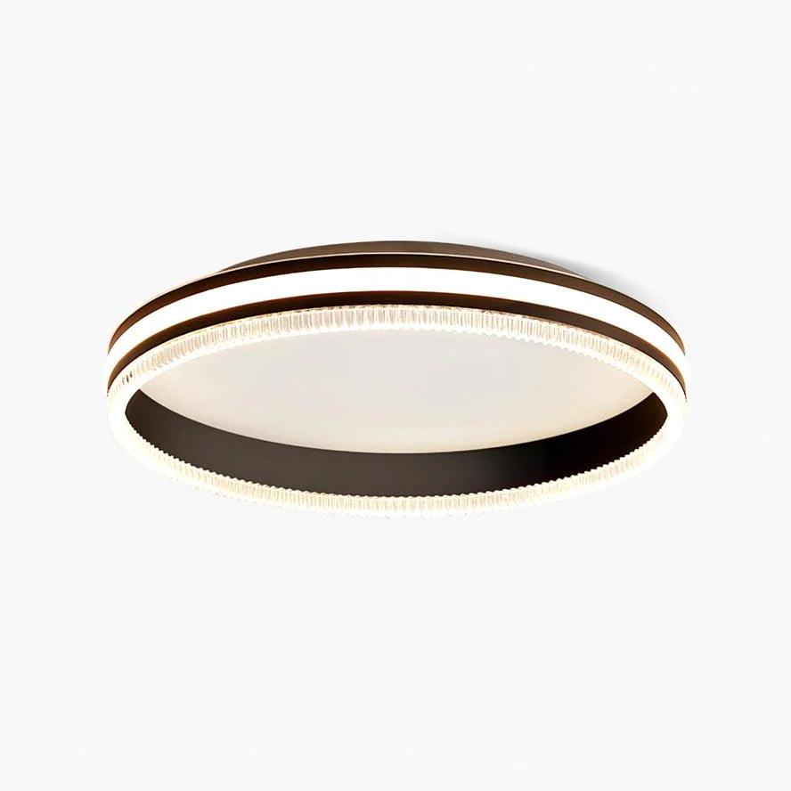 Modern Round Acrylic Ring LED Ceiling Light Fixture for Home and Office
