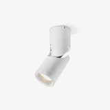 Surface Mounted LED Ceiling Spotlight Adjustable Aluminum Gallery Accent Light White