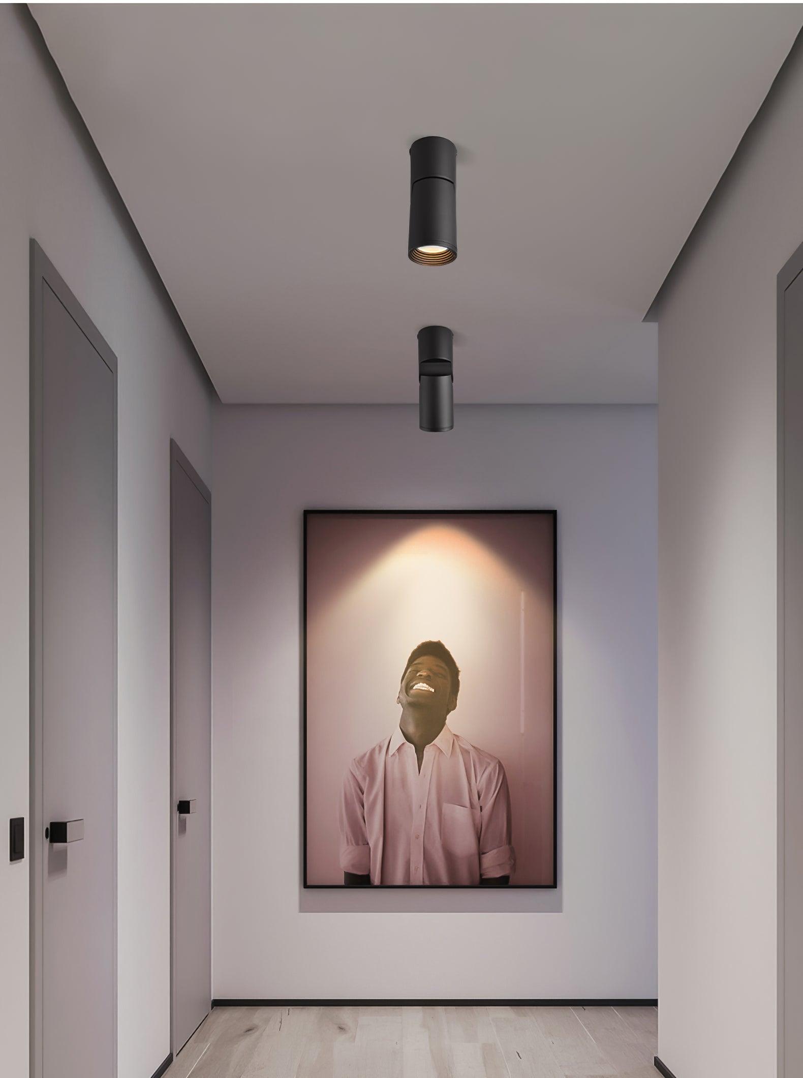 Surface Mounted LED Ceiling Spotlight Adjustable Aluminum Gallery Accent Light White