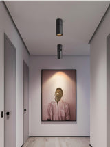 Surface Mounted LED Ceiling Spotlight Adjustable Aluminum Gallery Accent Light White