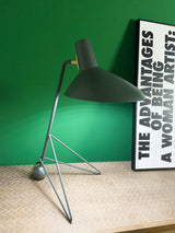 Contemporary Matte Finish Metal Table Lamp with Adjustable Head for Study and Bedside
