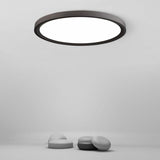 Modern Nordic Black Flush Mount LED Ceiling Light for Kitchen Dining Room