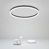 Minimalist Round Black Flush Mount Ceiling Light Dimmable LED Fixture for Kitchen and Living Room