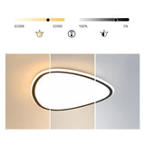 Modern Reuleaux Triangle Geometric Ceiling Light Nordic Flush Mount LED Fixture with Remote Control