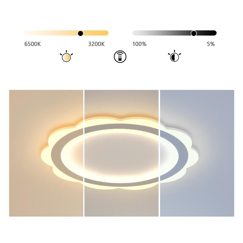 Modern Minimalist Round LED Flush Mount Ceiling Light with Iron Frame for Bedroom