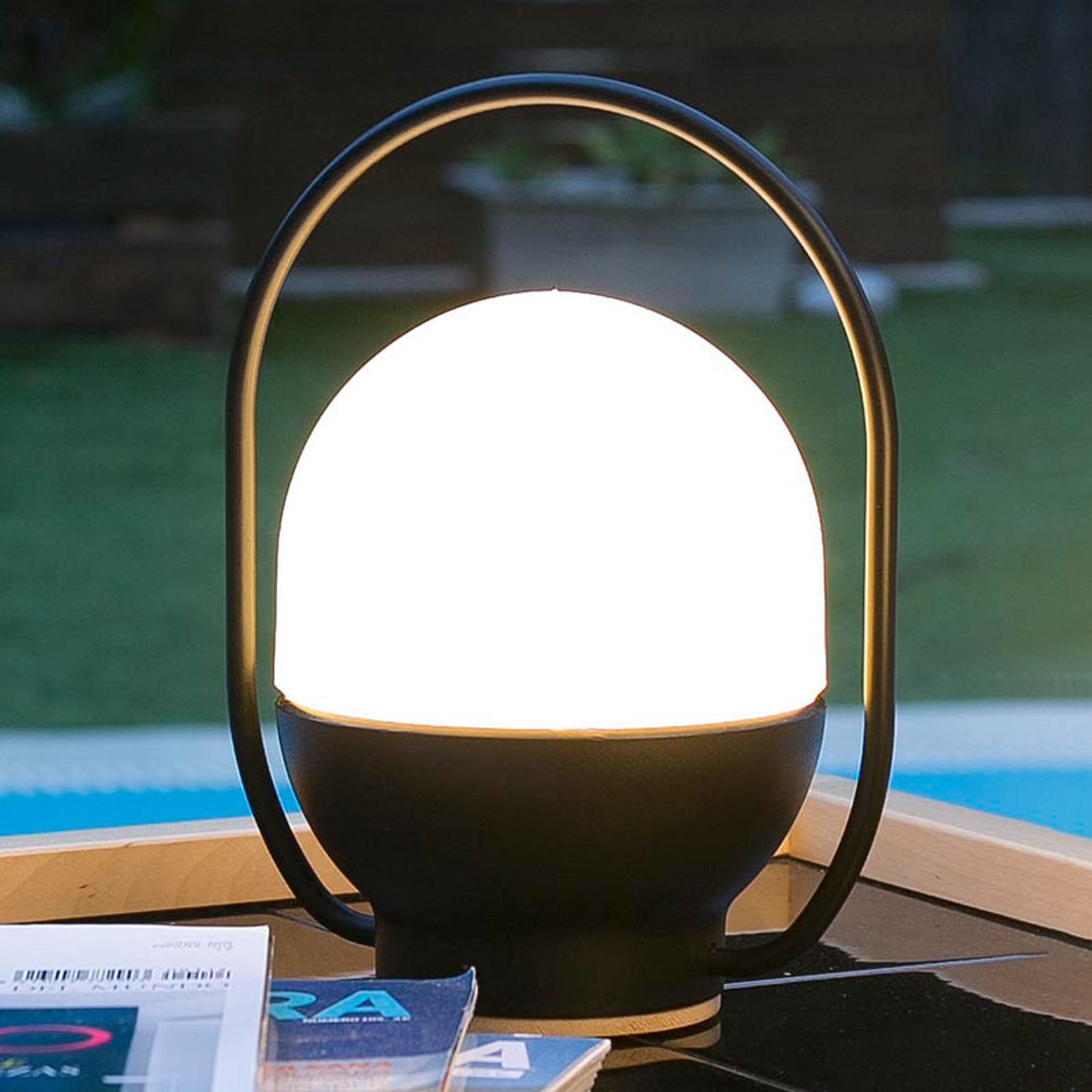 Portable LED Table Lamp with Glass Shade and Integrated Metal Handle for Indoor Use