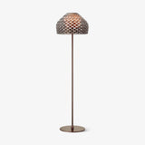 Modern Armadillo Geometric Standing Floor Lamp for Living Room and Office Decor