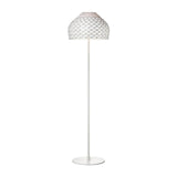 Modern Armadillo Geometric Standing Floor Lamp for Living Room and Office Decor