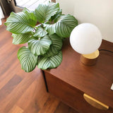 Modern Handcrafted Glass Globe Desk Lamp Gold Minimalist Table Light for Home Office