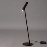 Tom Modern Brass LED Table Lamp with Adjustable Head and Three Color Temperatures