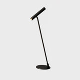 Tom Modern Brass LED Table Lamp with Adjustable Head and Three Color Temperatures