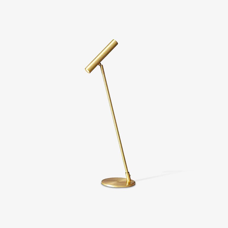 Tom Modern Brass LED Table Lamp with Adjustable Head and Three Color Temperatures