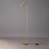 Modern Minimalist Adjustable LED Reading Floor Lamp with Slim Brass Body