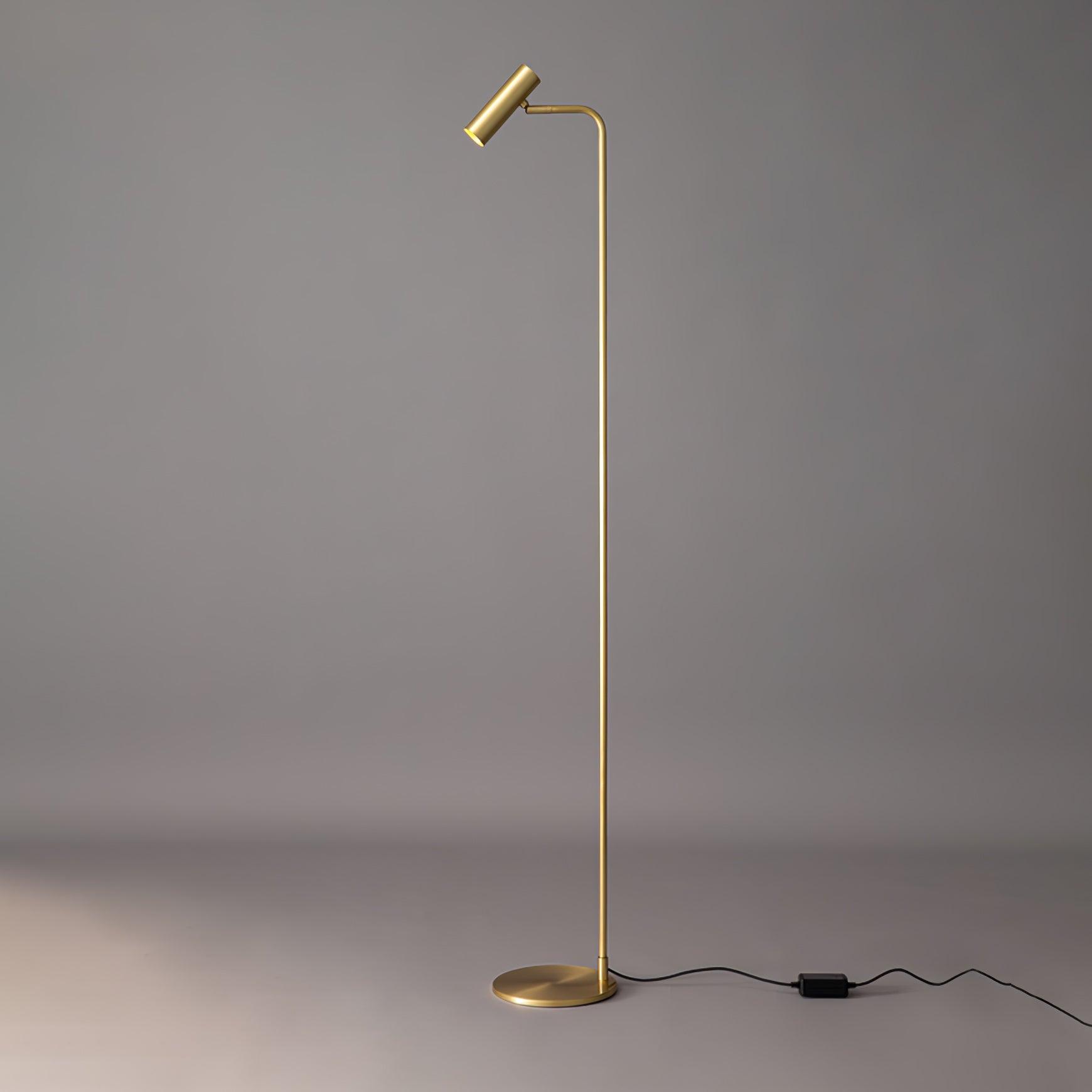 Modern Minimalist Adjustable LED Reading Floor Lamp with Slim Brass Body