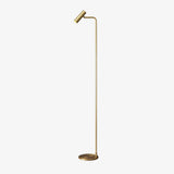 Modern Minimalist Adjustable LED Reading Floor Lamp with Slim Brass Body