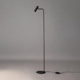 Modern Minimalist Adjustable LED Reading Floor Lamp with Slim Brass Body