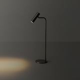 Modern Brass LED Table Lamp with Adjustable Head and Satin Finish Design