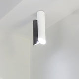 Tubes Modern Adjustable Tubular Flush Mount Ceiling Lamp for Indoor Living Spaces