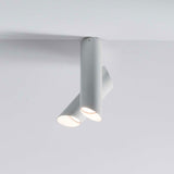 Tubes Modern Adjustable Tubular Flush Mount Ceiling Lamp for Indoor Living Spaces