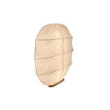 Windsurfing Sculptural Floor Lamp with White Resin Shade and Natural Wood Base