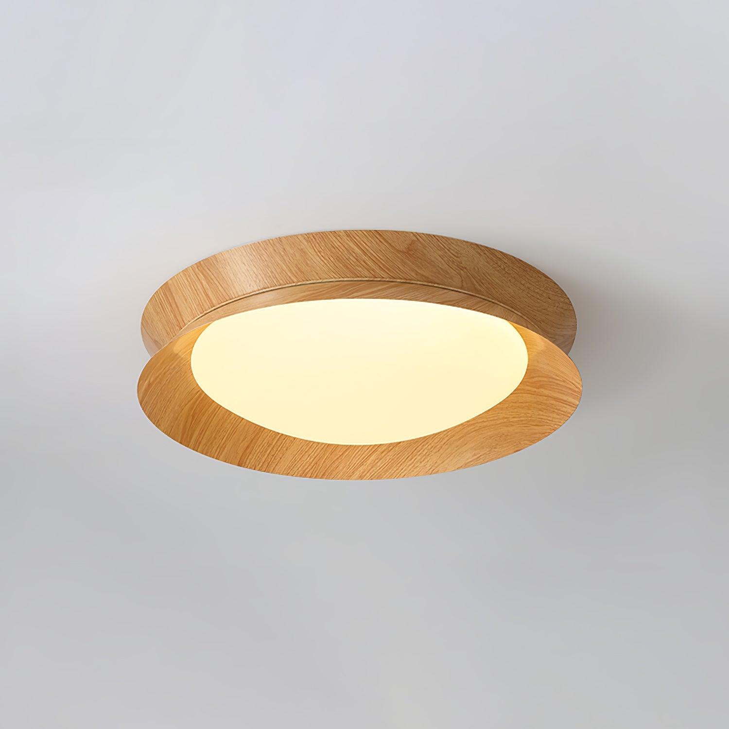 Modern Geometric Double Half Round LED Flush Mount Ceiling Light Minimalist Interior Fixture