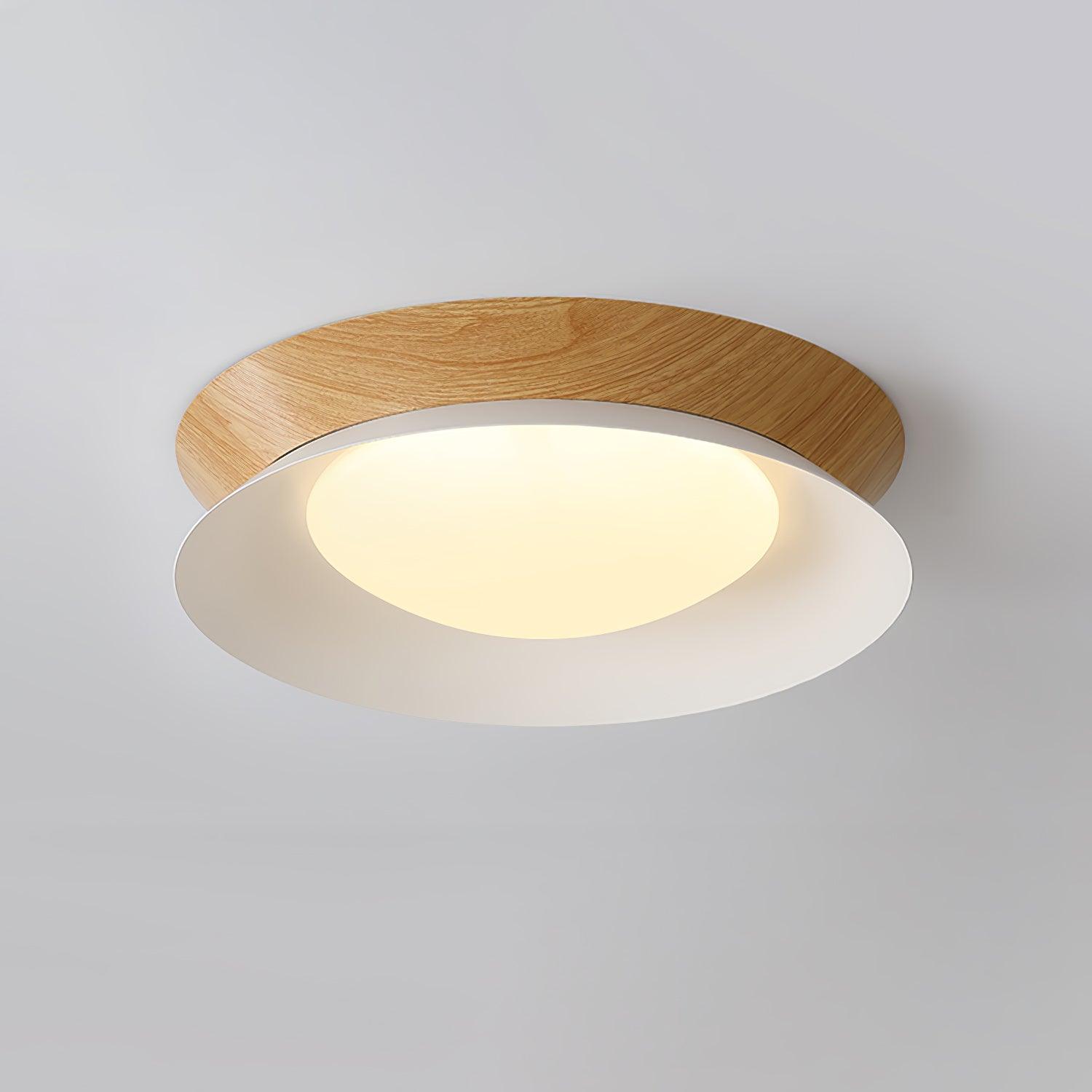 Modern Geometric Double Half Round LED Flush Mount Ceiling Light Minimalist Interior Fixture