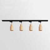 Modern Wood and Steel Adjustable Track Lighting Fixture for Ceiling or Wall Mount