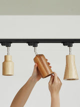 Modern Wood and Steel Adjustable Track Lighting Fixture for Ceiling or Wall Mount