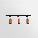 Modern Wood and Steel Adjustable Track Lighting Fixture for Ceiling or Wall Mount