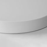 Modern 16 Inch Dimmable Round LED Flush Mount Ceiling Light with Remote in White