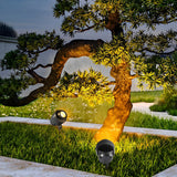 Adjustable Waterproof LED Garden Spotlight for Tree and Architectural Landscape Lighting