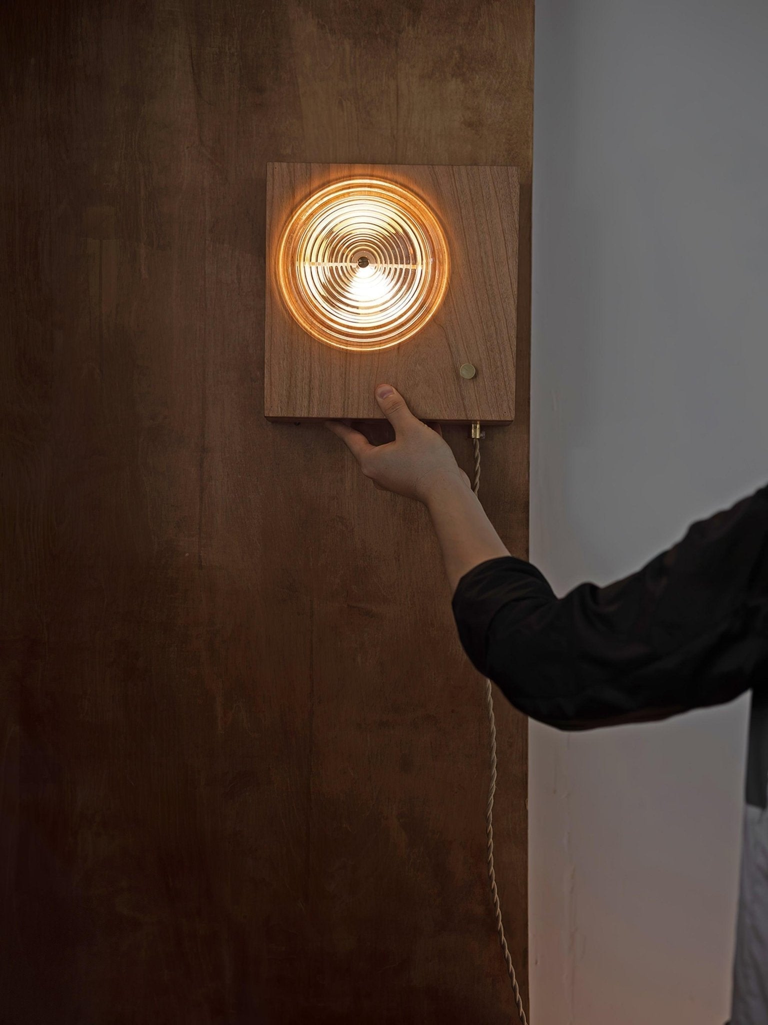 Antique Camera Inspired Wall Sconce with Cherry Wood Panel and Ribbed Glass Shade