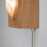Antique Camera Inspired Wall Sconce with Cherry Wood Panel and Ribbed Glass Shade