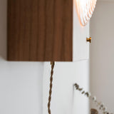 Antique Camera Inspired Wall Sconce with Cherry Wood Panel and Ribbed Glass Shade