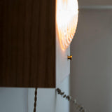 Antique Camera Inspired Wall Sconce with Cherry Wood Panel and Ribbed Glass Shade