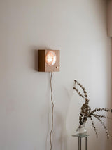 Antique Camera Inspired Wall Sconce with Cherry Wood Panel and Ribbed Glass Shade