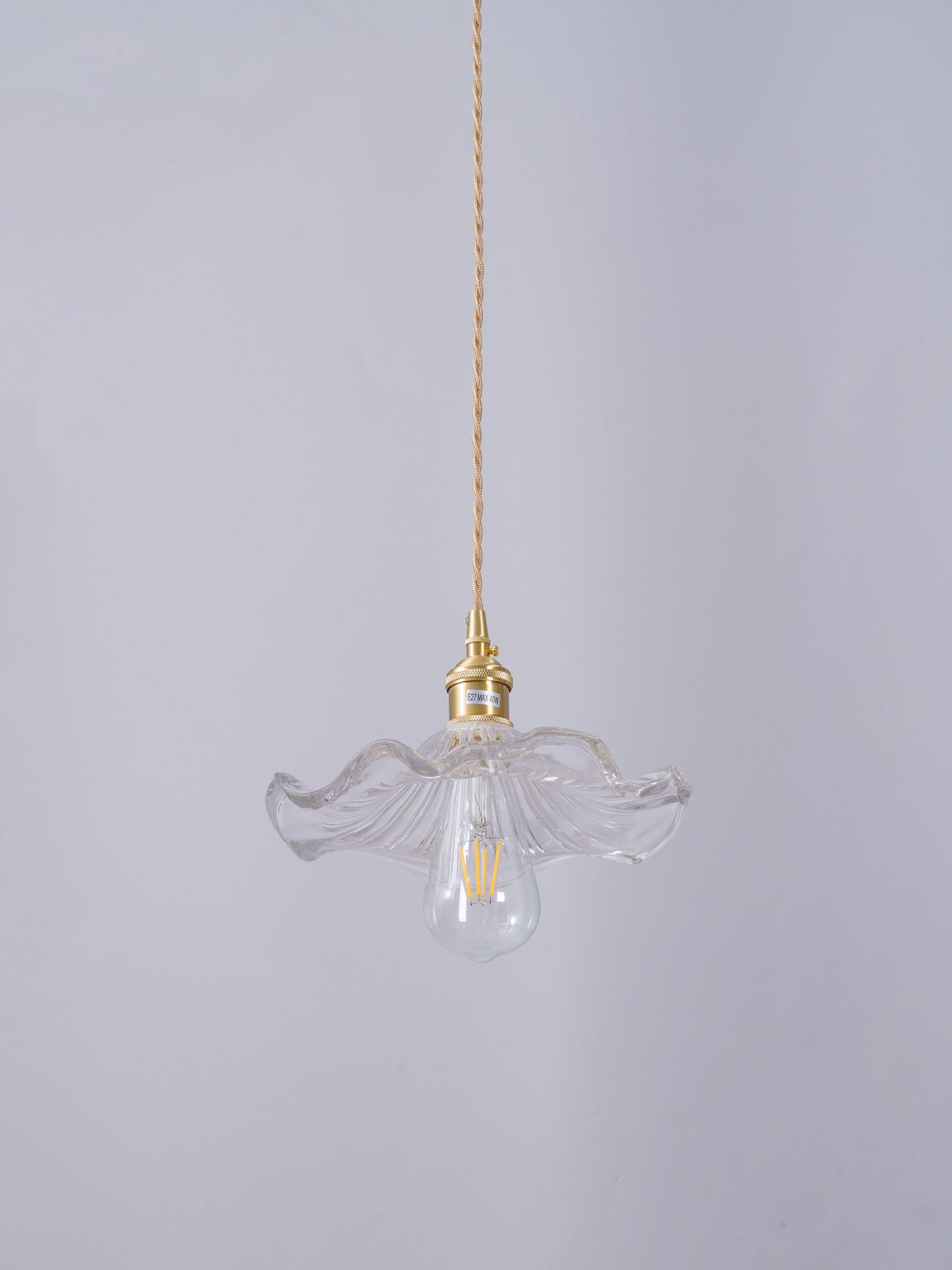 Art Nouveau Glass Hibiscus Flower Swag Pendant Light with Plug for Indoor Decor